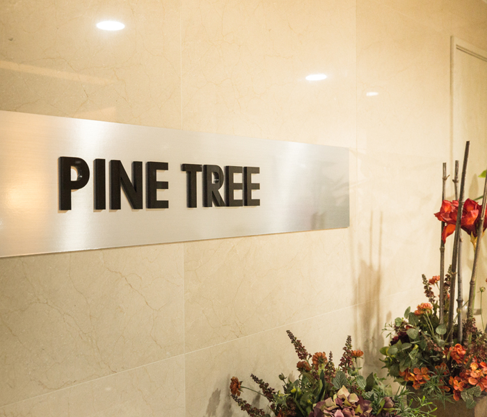 Pine Tree